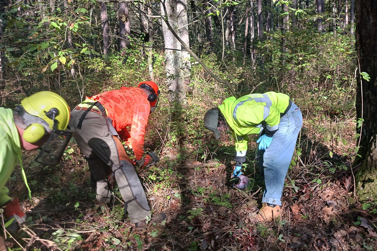 2025-9-29-Cutters-and-Treaters