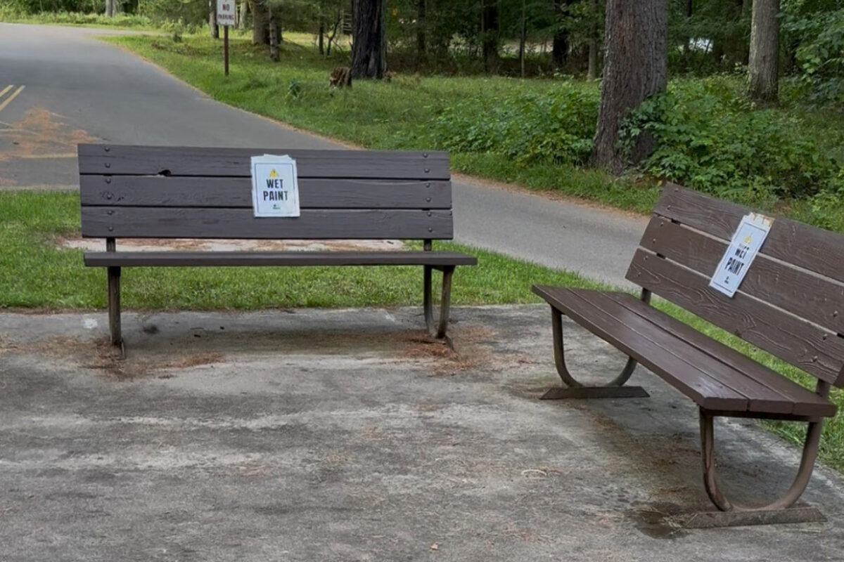 council-grounds-bench